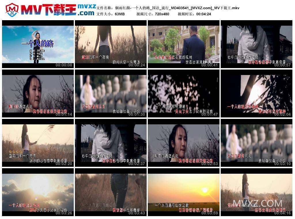 烟雨红颜-一个人的路_国语_流行_MD403541